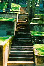 long stairs